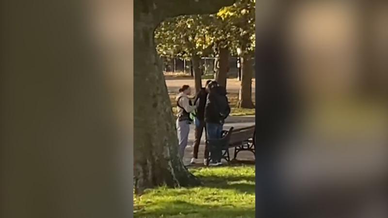 Moment migrant sex offender arrested in London park