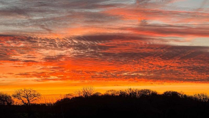 'Blood rain' and fiery sunsets as Saharan dust sweeps UK