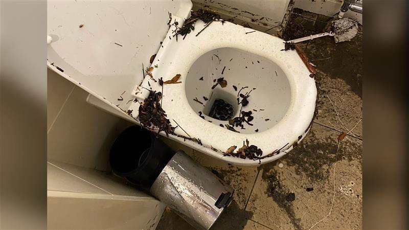 A toilet with leaves and twigs inside and around the seat. There is also wet mud on the flood alongside a dirty toilet brush. 