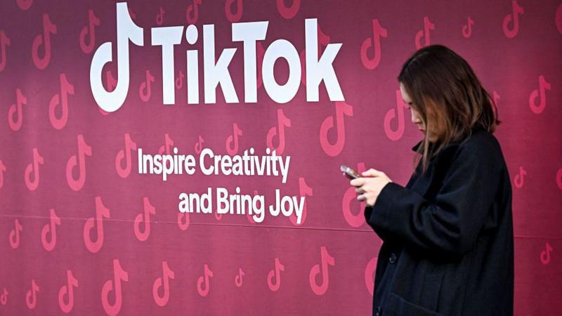 US-TikTok deal: A new reality for China's tech champions?