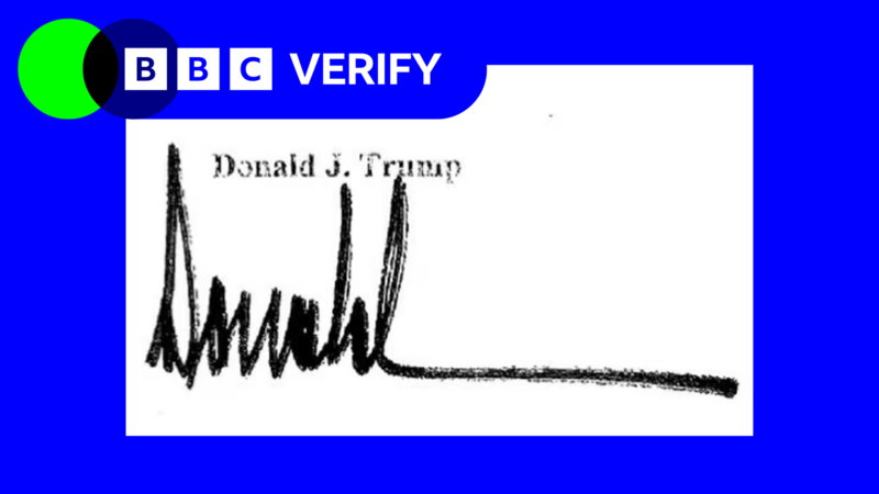 What do we know about alleged Trump signature on Epstein letter?