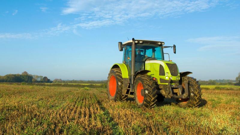 Campaigners call for ban on use of weedkiller glyphosate at harvest time