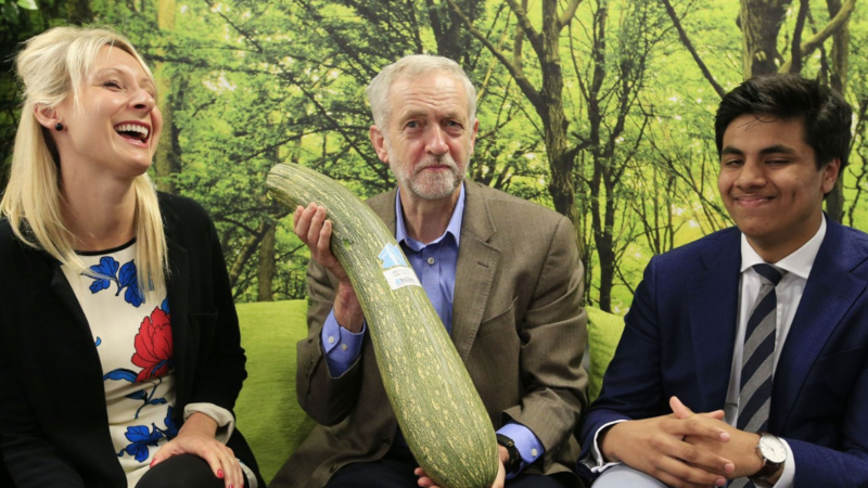 Corbyn attacks Rayner for selling off allotments