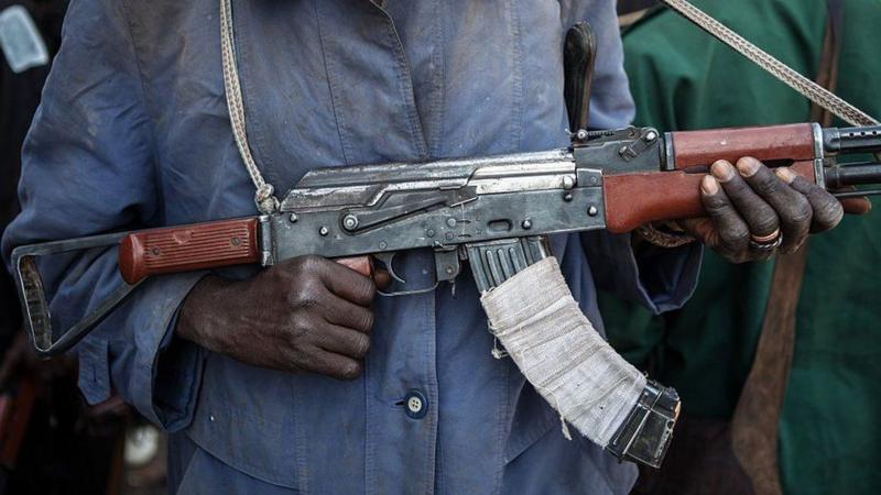 Two schoolgirls escape Nigeria kidnap ordeal, official says