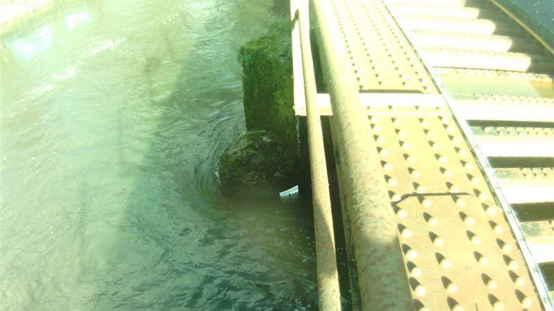 A high water level next to a railway track. There is a white marker on the bridge and the water is above it.