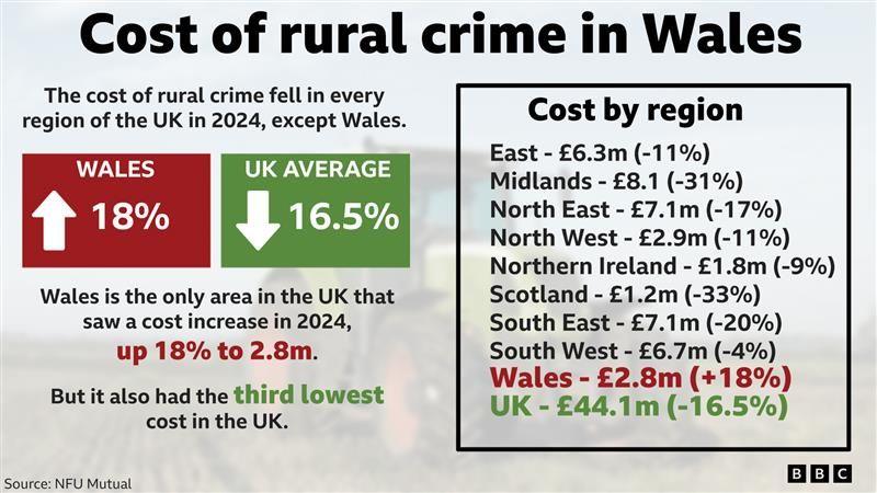 A graphic showing the cost of rural crime in Wales. It shows how the cost of rural crime in the UK fell by 16.5%, compared to Wales where it rose by 18%. It all shows the costs per region elsewhere in the UK, with Wales losing £2.8m, the third lowest amount.