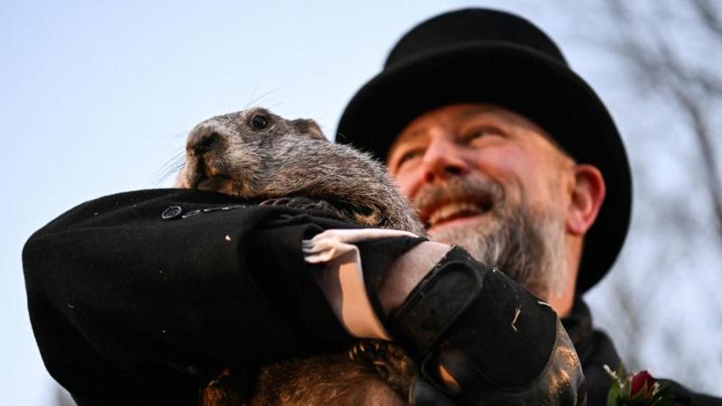 Watch: Punxsutawney Phil emerges for Groundhog Day