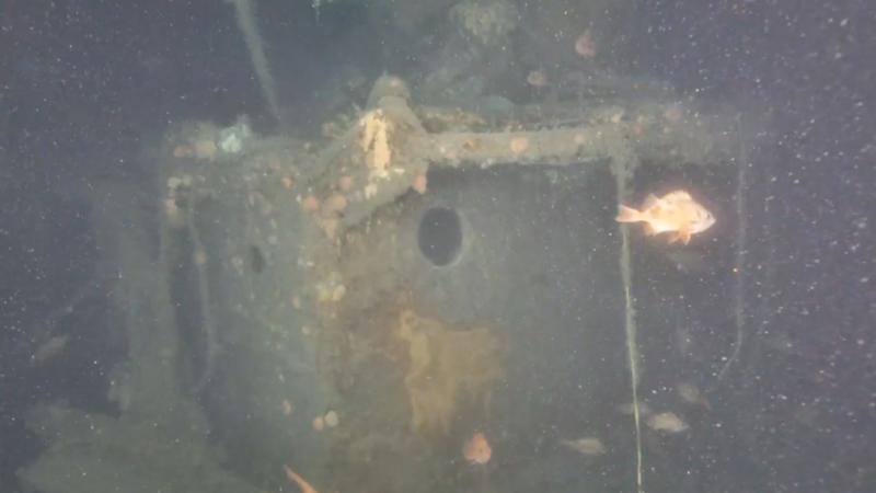 New footage shows first look at Ernest Shackleton's final ship Quest