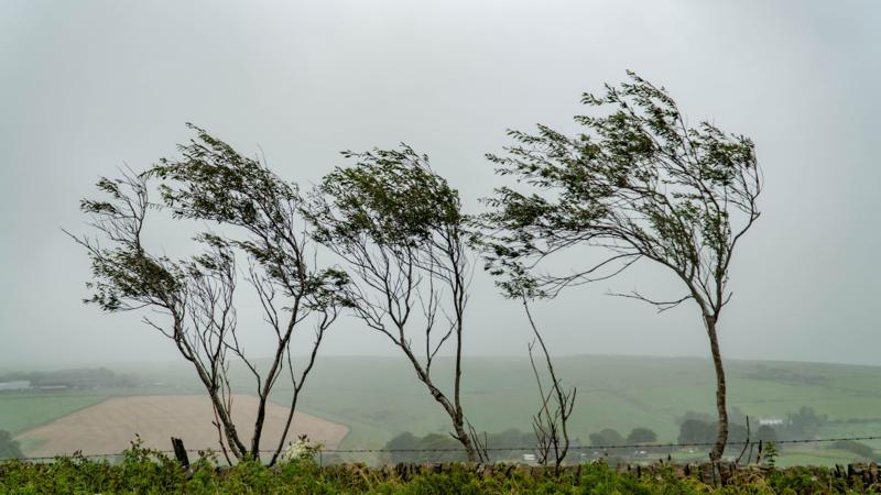 UK weather: Why is it so windy? BBC Weather UK weather: Why is it so windy? BBC Weather