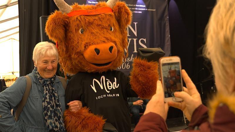 Boireannach agus bò mhòr mholach fhuadain aig a' Mhòd ann an Loch Abar 2025