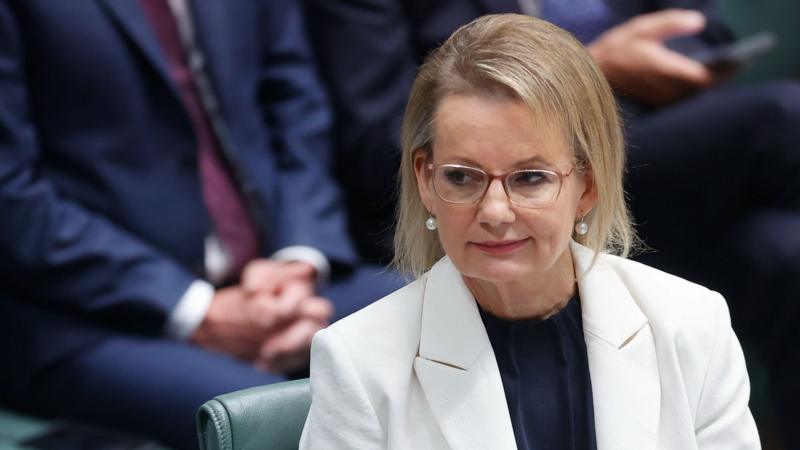 Sussan Ley and the glass cliff: Does Australian politics still have a problem with women?