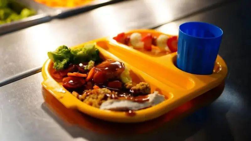 A small yellow plastic tray with three indents holding a blue plastic cup, a portion of roast dinner and a portions of fruit on a skewer. The tray is placed on the edge of a metal serving counter.