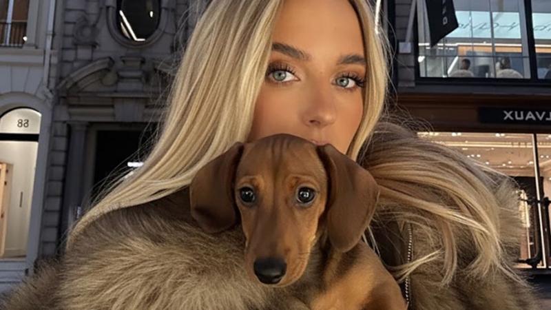 No, your favourite influencer hasn't got a dozen dachshund dogs. It's just AI