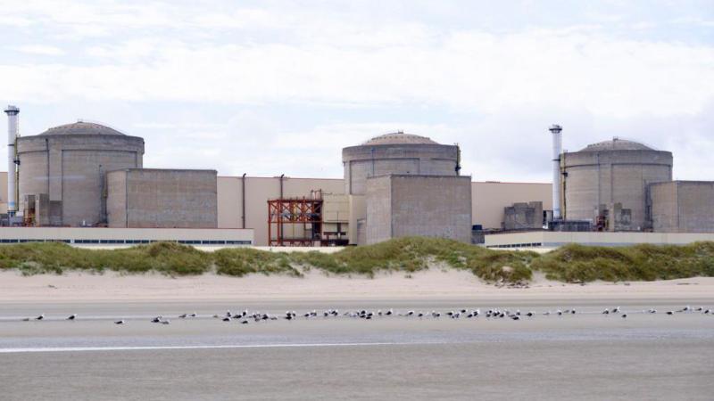 Jellyfish force partial shutdown of French nuclear plant