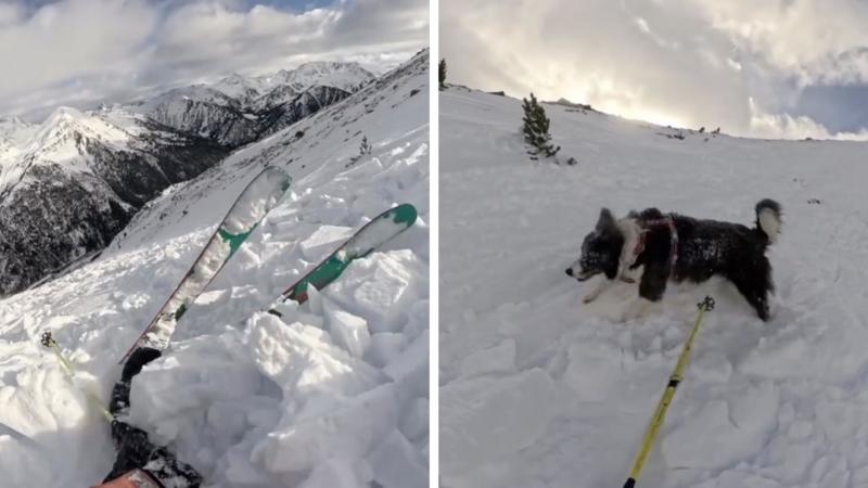 Watch: Moment skier and dog swept along by avalanche