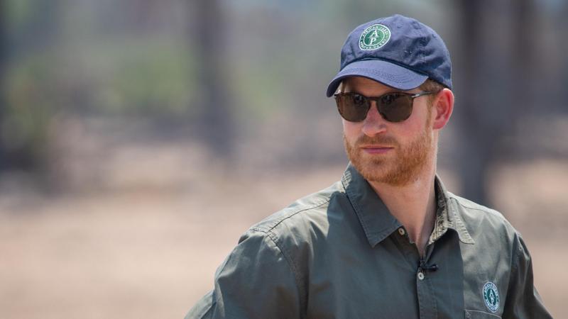Prince Harry steps down from African wildlife charity board