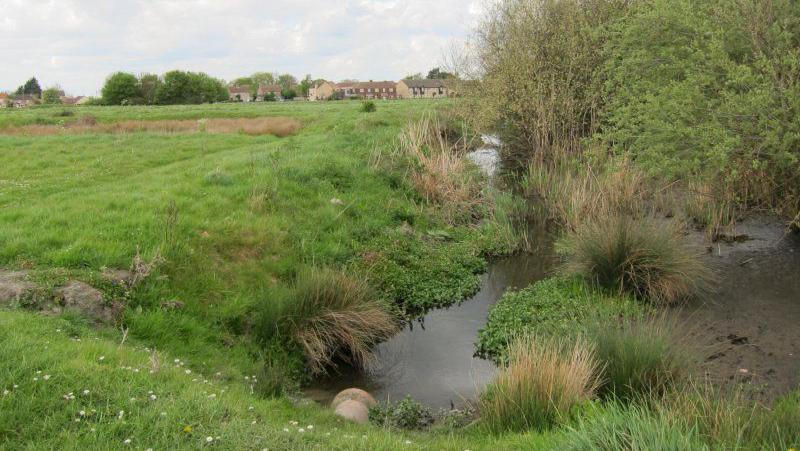 Qua Fen common, there is a hedgerow and central ditch, in the distance are houses.