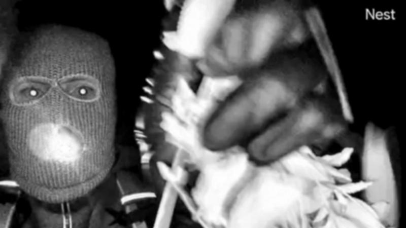 FBI releases images of masked man in hunt for Savannah Guthrie's mother