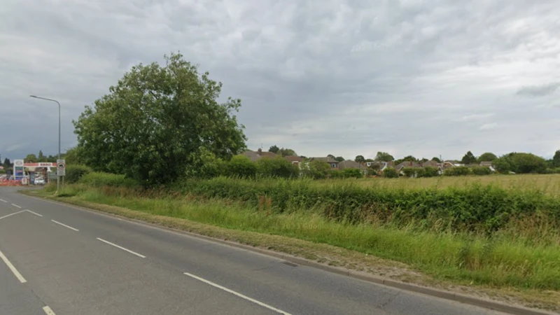 Louth Road in New Waltham. The picture shows a field where the homes are due to be built. There is a hedge along the side of the road, with one large tree. There is an Esso garage in the distance.