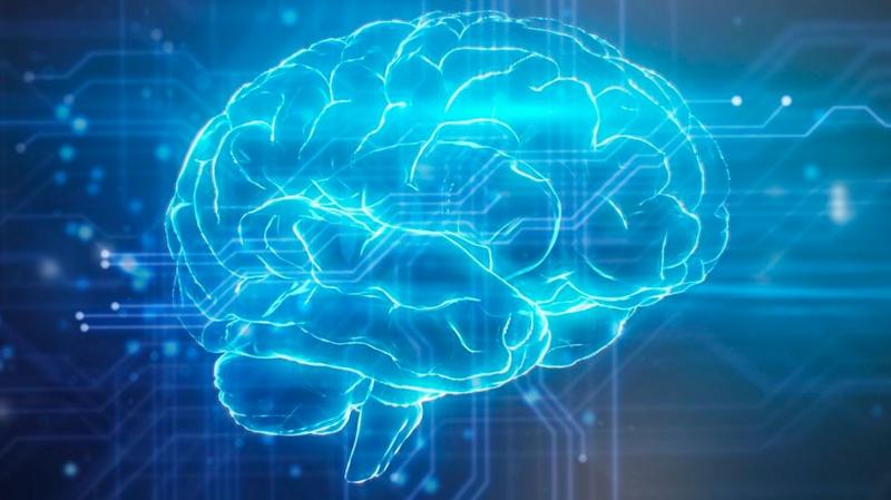 Weekly quiz: What age did scientists say your brain reaches adulthood?