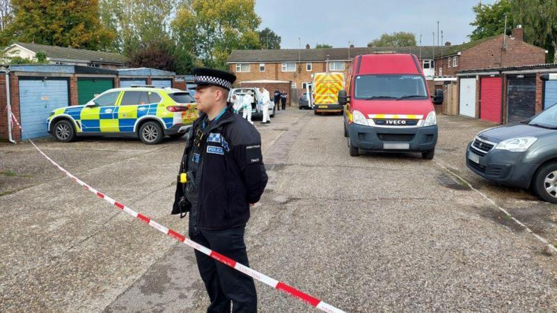 Murder probe launched in Essex after man, 30, fatally assaulted - BBC News