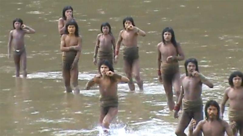 'Brothers in the forest' - the fight to protect an isolated Amazon tribe