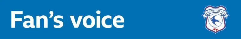 Cardiff fan banner