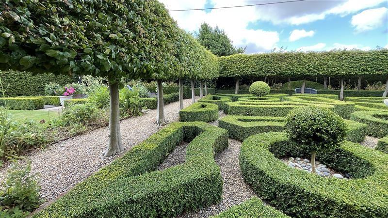 The hedges have been cut to resemble shapes and patterns across a large garden framed by trees and bushes.