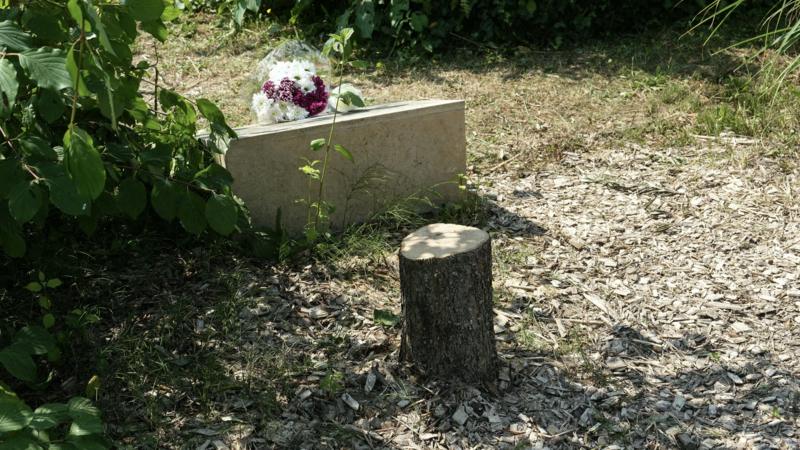 Macron condemns 'act of hatred' after tree memorial for murdered Jew is cut down