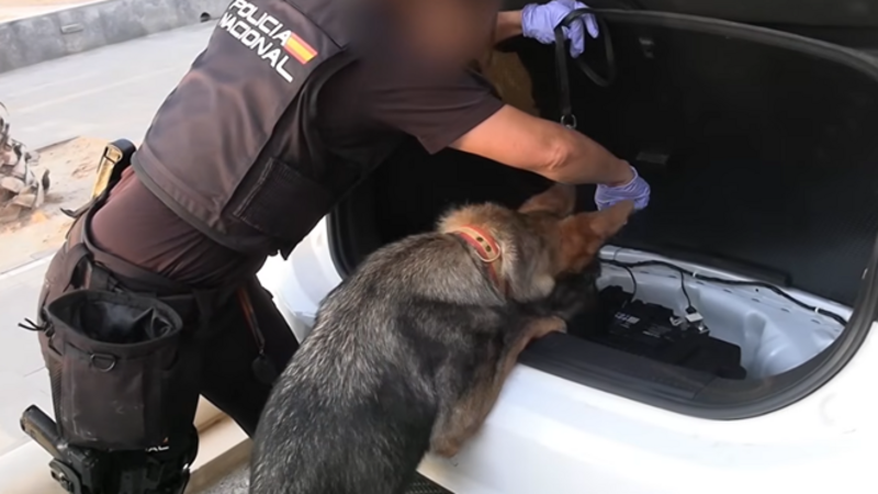 Spanish police arrest 78 people in bust of 'one of largest' smuggling networks