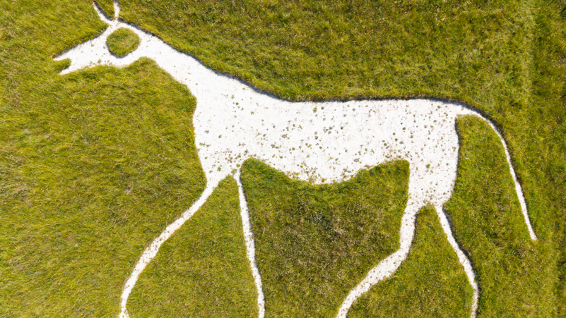Aerial view of Pewsey White Horse chalk figure, a white thin horse on a grass background.