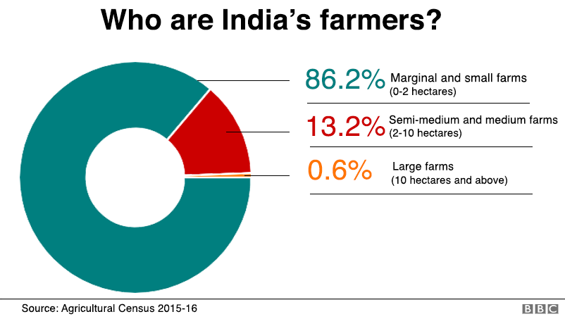 Pie chart showing size of farm holdings