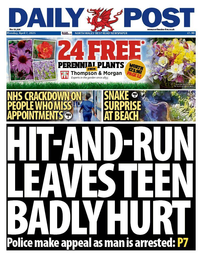 Front page of the Daily Post with the splash headline "Hit-and-run leaves teen badly hurt". Above that are two boxes with the headlines "NHS crackdown on people who miss appointments" and "snake surprise at beach". At the top of page is an advert for gardening company Thompson and Morgan.