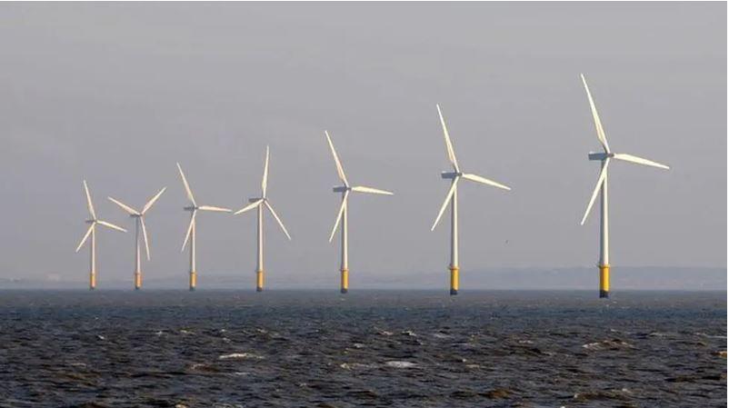 Seven wind turbines stick out of the sea