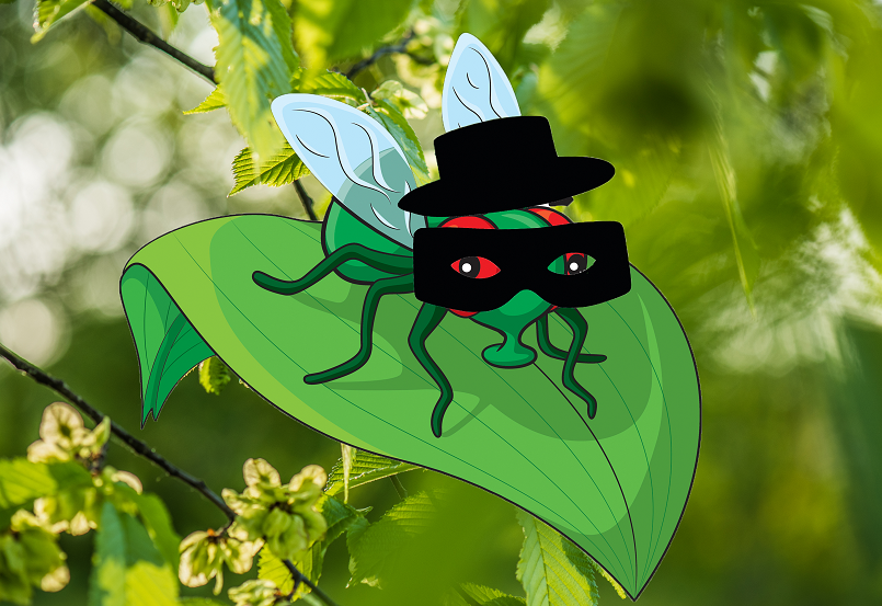Zorro fly