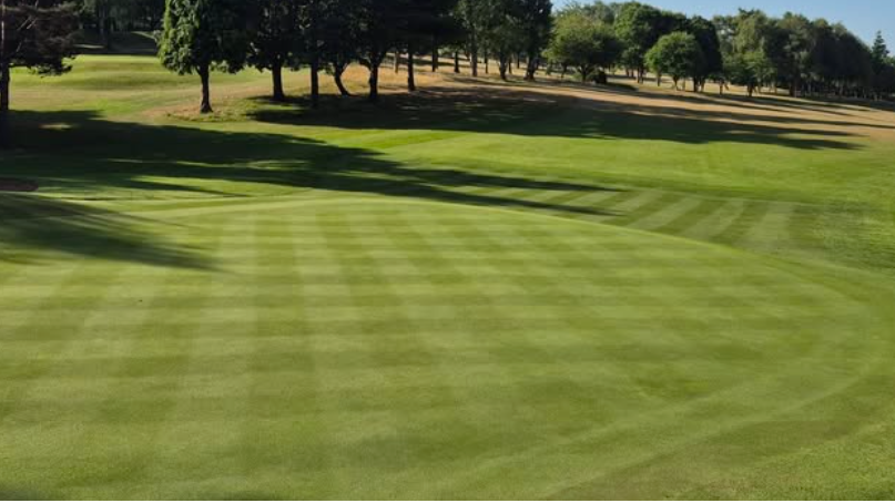 The golf course stretches out towards some trees in the summer sunshine. The grass is patterned with strips and is slightly brown in the distance from the hot summer.
