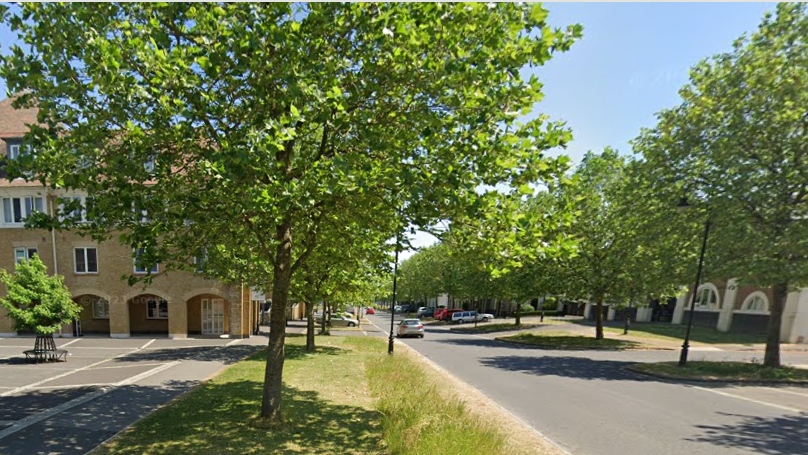 Trees line both sides of Peverell Avenue West in Poundbury in June 2023. The trees are well-established but young, with slender trunks.