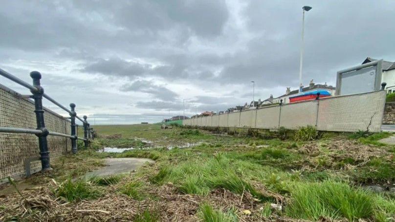 Grass growing on Hoylake beach 