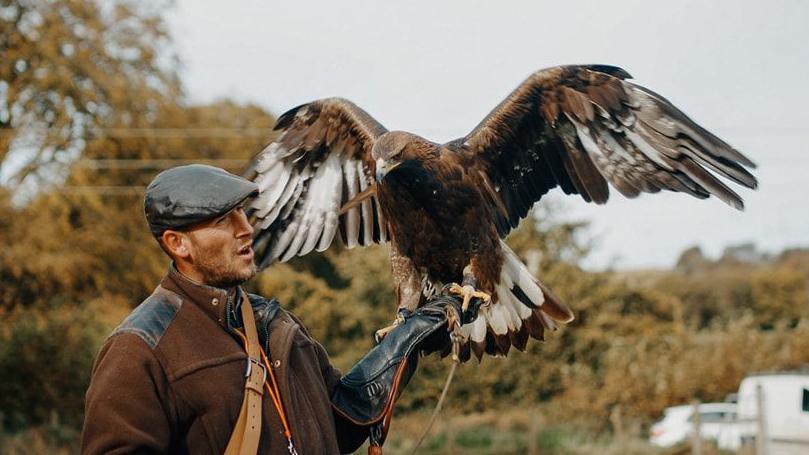 A man wearing a large leather clove holding an eagle with its wings partially spread. The man is wearing a brown coat and black cap. The bird is brown and white and is very large. They are outside and there are some trees in the background.