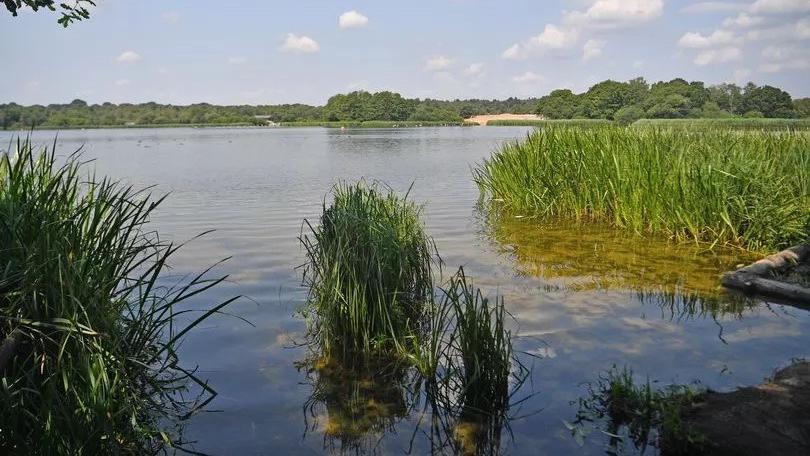 Frensham Great Pond