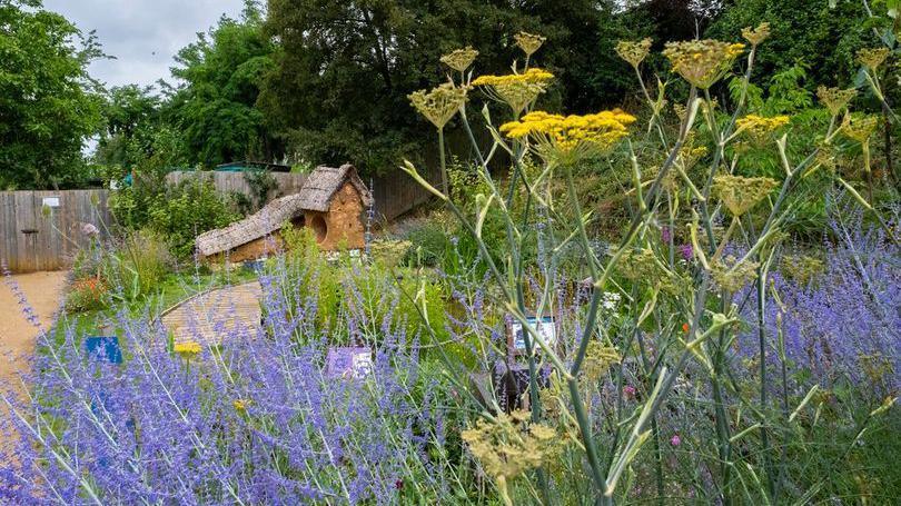 A section of garden showing purple, green and yellow plants in front of trees.