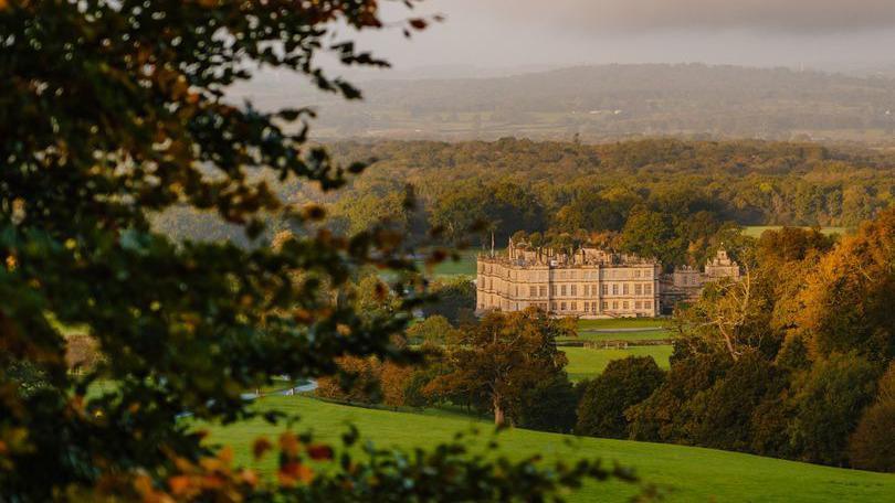 A view of Longleat House in the distance across the estate, with a tree branch