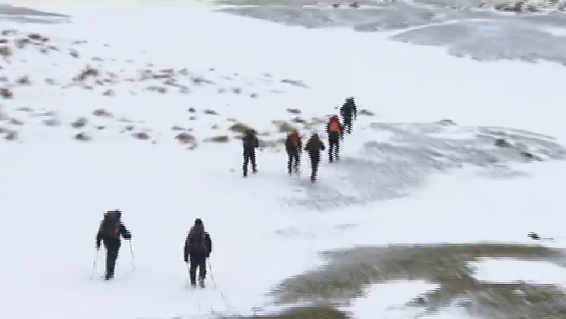 Rescuers walking in snow