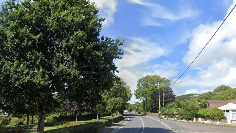 A road leads into the distance. Green trees line the street. A residential house is on the right hand side. The sky overcast.