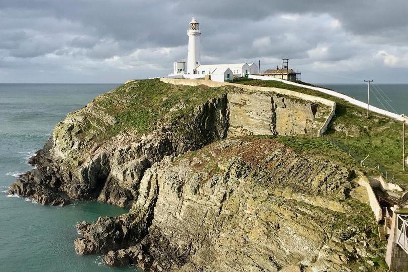 Ynys Lawd – ei daeareg yn denu’r adar