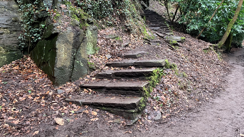 Large flagstone steps rise from a riverside path. They turn steeply into the woodland beyond. They are surrounded by fallen brown leaves and large stone outcrops. A few slender trees can be seen in the distance.  