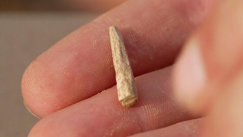 small bone peg