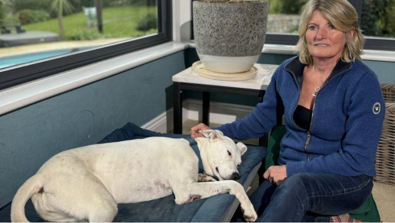 A woman sits wearing a blue top with a fair coloured dog lying on a bed in a room with two windows and a large vase behind.