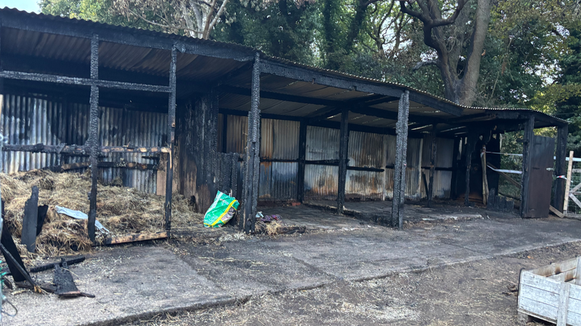 A row of horse stables, with blackened frames, and scorch marks on the metal work. There is a large amount of hay on the floor of the charred stable to the left.