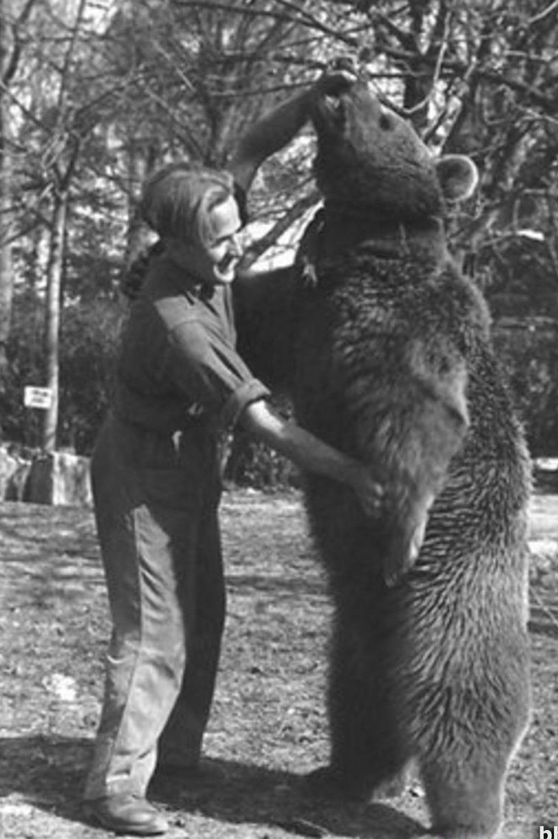 A soldier next to Wojtek the bear with his hand on his head and paw. The bear towers over the soldier.